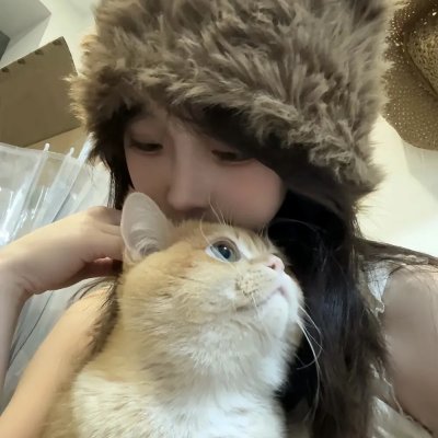 骑着鱼的猫